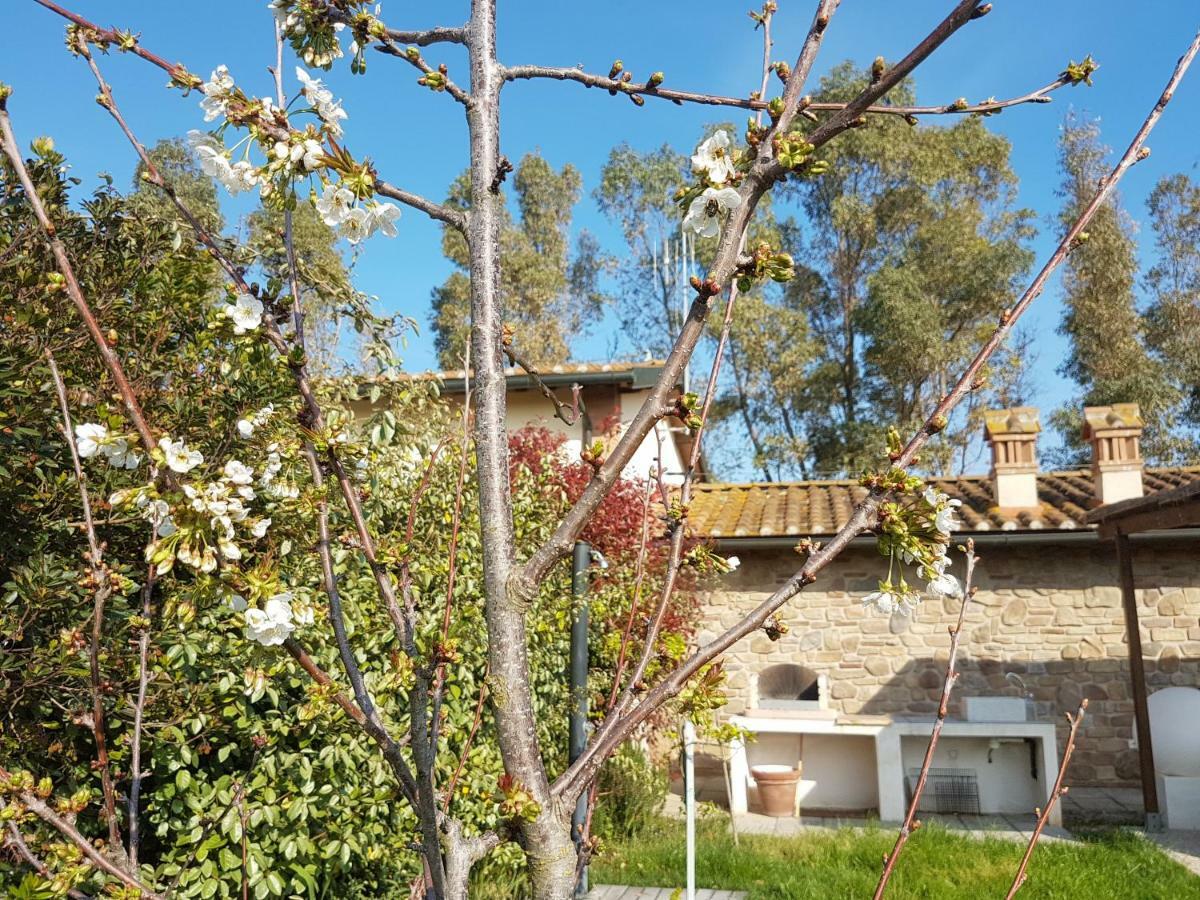 Casa PadulettoVillino Il Paduletto别墅 外观 照片